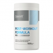 Post-Workout Formula 500g